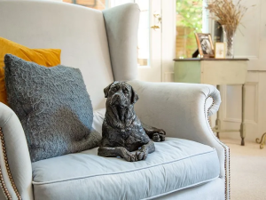 VZ_krematorij_spomin_Rottweiler