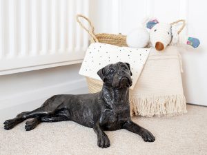 VZ_krematorij_spomin_bokser