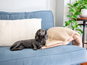 VZ_krematorij_spomin_jazbecar