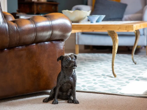 VZ_krematorij_spomin_staff